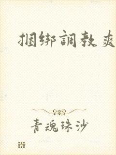 捆绑调教爽文