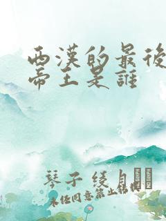 西汉的最后一位帝王是谁