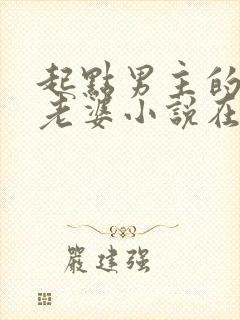起点男主的笨蛋老婆小说在线阅读无弹窗