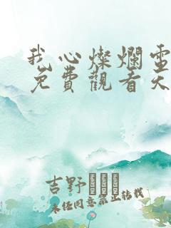 我心灿烂电视剧免费观看天天