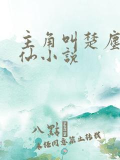 主角叫楚尘的修仙小说