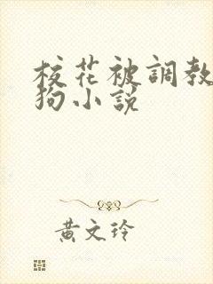 校花被调教成母狗小说