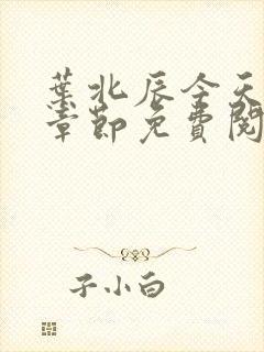 叶北辰今天最新章节免费阅读