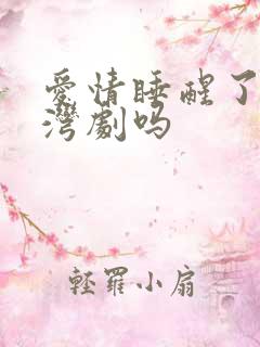 爱情睡醒了是台湾剧吗