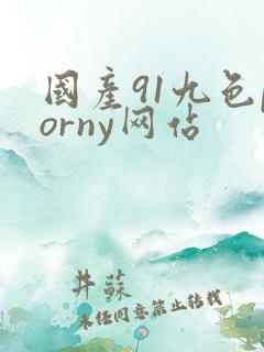 国产91九色porny网站