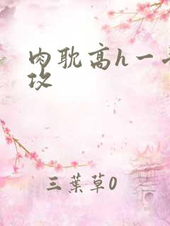 肉耽高h一受n攻