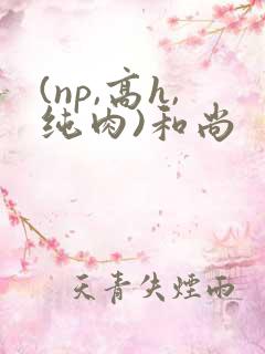 (np,高h,纯肉)和尚