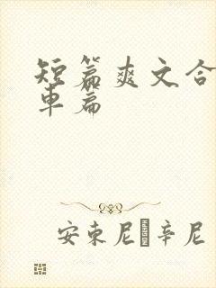短篇爽文合集公车篇