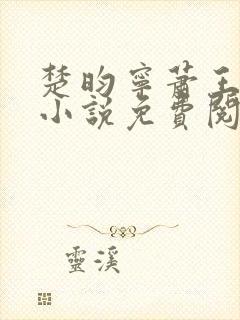 楚昀宁萧王穿越小说免费阅读
