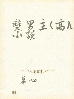 双男主(高h)小说