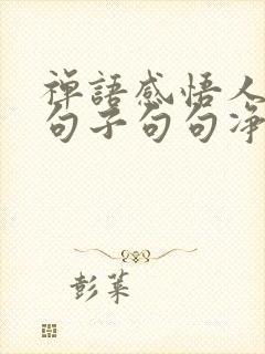 禅语感悟人生的句子句句净化心灵