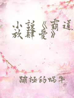 小说《霸道总裁放肆爱》