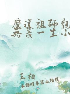 魔道祖师观影魏无羡一生小说