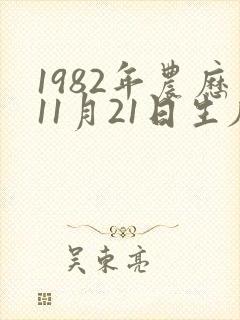 1982年农历11月21日生辰八字