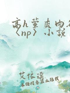 高h荤爽肉欲文〈np〉小说