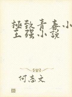 极致青春小娟和王强小说
