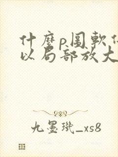 什么p图软件可以局部放大