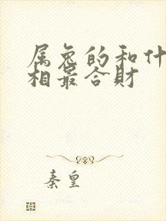 属兔的和什么属相最合财