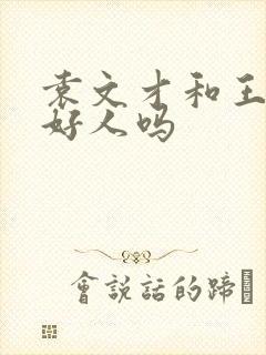 袁文才和王佐是好人吗