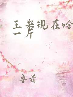 玉米现在啥价钱一斤