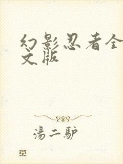 幻影忍者全集中文版