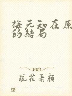 梅元知在原著中的结局