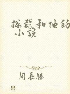 总裁和他的秘书 小说