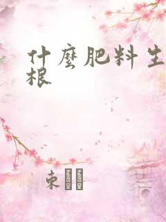 什么肥料生根养根