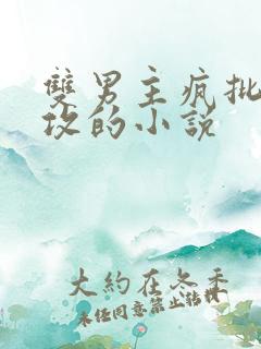 双男主疯批偏执攻的小说