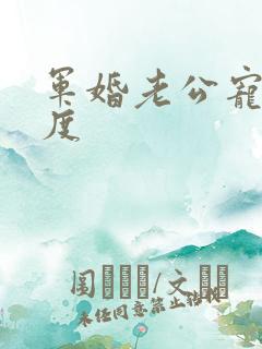 军婚老公宠妻无度