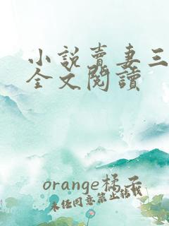 小说卖妻三兄弟全文阅读