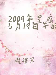 2009年农历5月19日午时八字