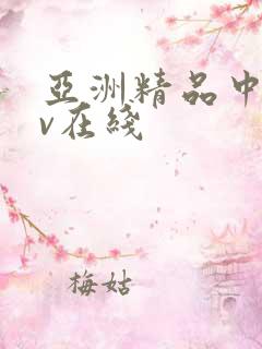 亚洲精品中文av在线