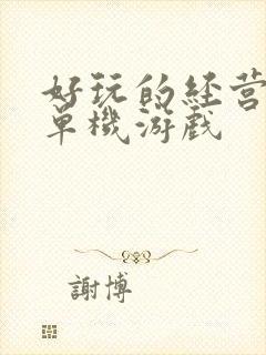 好玩的经营策略单机游戏