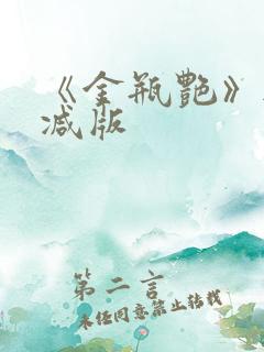 《金瓶艳》无删减版