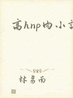 高hnp肉小说