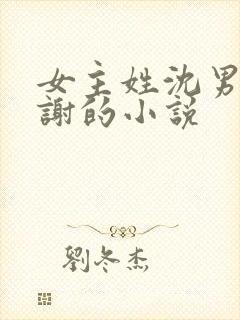 女主姓沈男主姓谢的小说