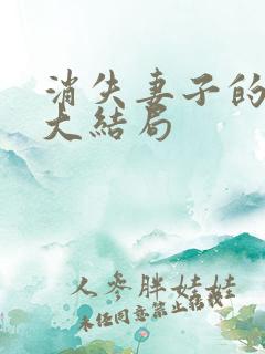 消失妻子的秘密大结局