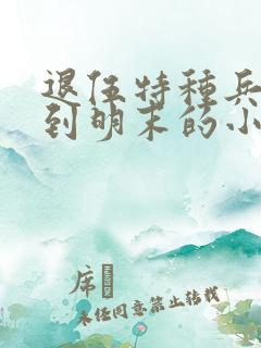 退伍特种兵穿越到明末的小说