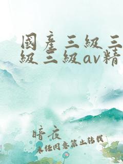 国产三级三级三级三级av精品