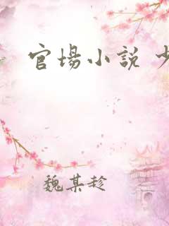 官场小说 少妇