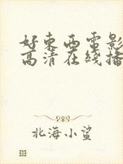好东西电影免费高清在线播放