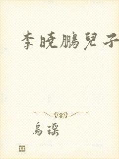 李晓鹏儿子