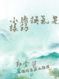 小肠换气是什么样的