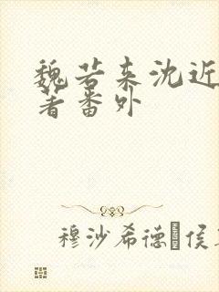 魏若来沈近真原著番外