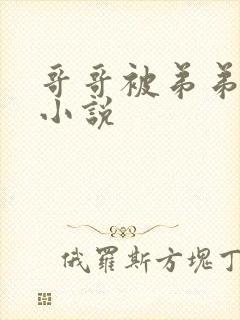 哥哥被弟弟调教小说