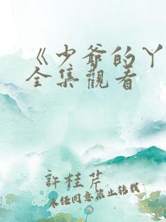 《少爷的丫鬟》全集观看