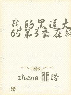 我的黑道大佬365第3季在线观看全集
