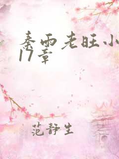 秦雨老旺小说第17章