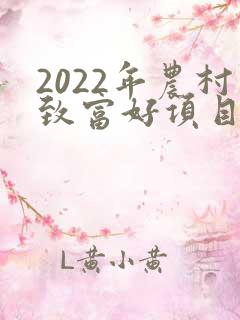 2022年农村致富好项目